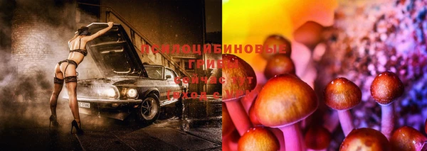 2c-b Алзамай