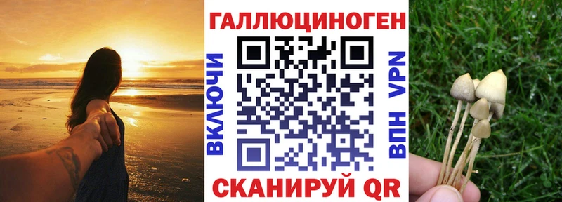 Галлюциногенные грибы Psilocybe  Канаш 
