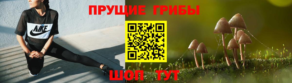 Галлюциногенные грибы Cubensis  Вход с VPN  Канаш 