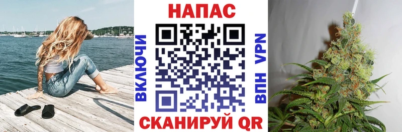 Шишки марихуана гибрид  магазин продажи   hydra tor  Канаш 